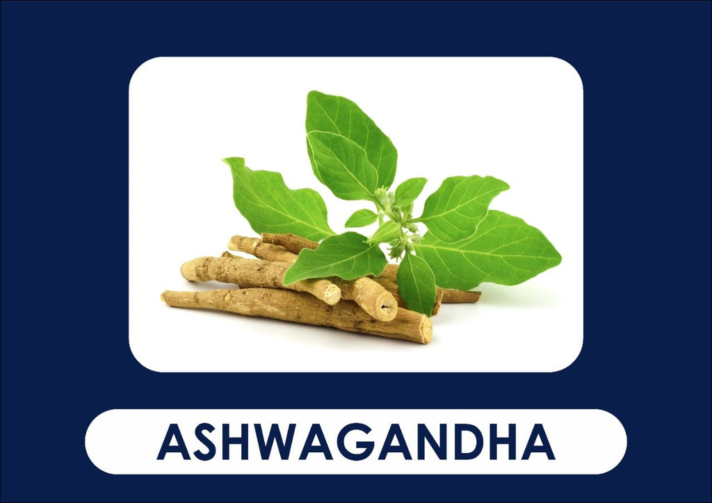 Ashwagandha- (bot.name- Withania somnifera) - Guduchi Ayurveda