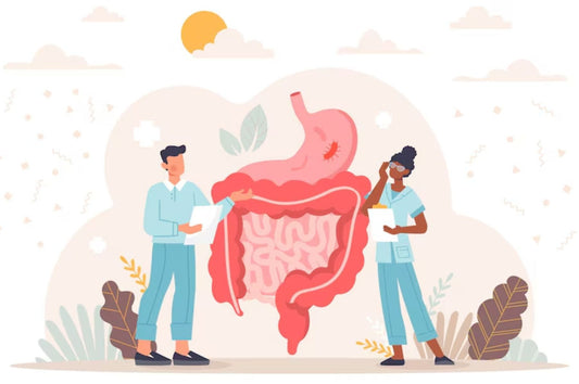 AYURVEDA AND DIGESTIVE HEALTH: NURTURING YOUR GUT WITH ANCIENT WISDOM - Guduchi Ayurveda