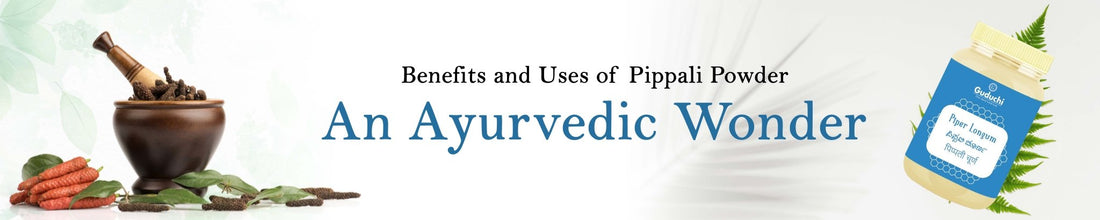 Benefits and Uses of Pippali Powder: An Ayurvedic Wonder - Guduchi Ayurveda