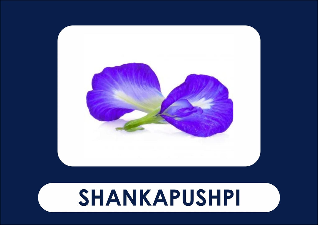 Shankhapushpi – (Bot Name-Convolvulus microphyllus) - Guduchi Ayurveda